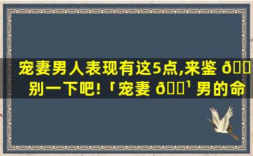 宠妻男人表现有这5点,来鉴 🐳 别一下吧!「宠妻 🌹 男的命格是什么意思」